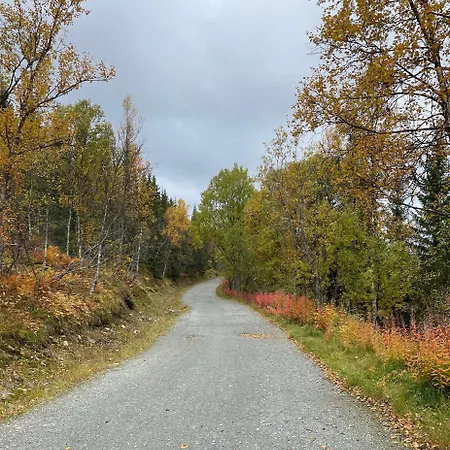 アパート Cozy With A View *