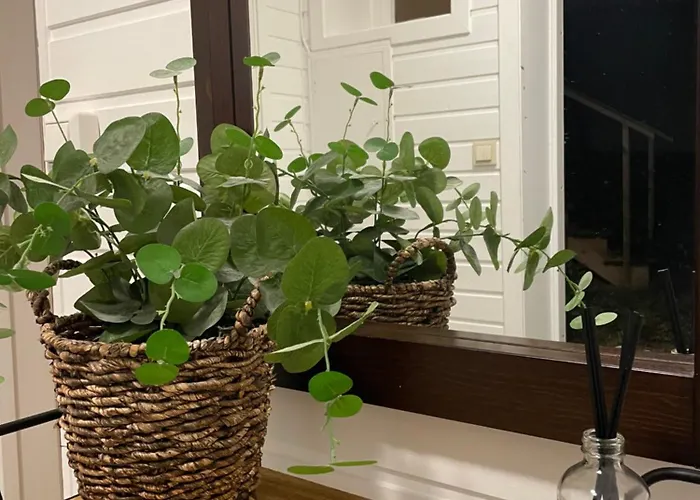 Appartamento Cozy With A View *